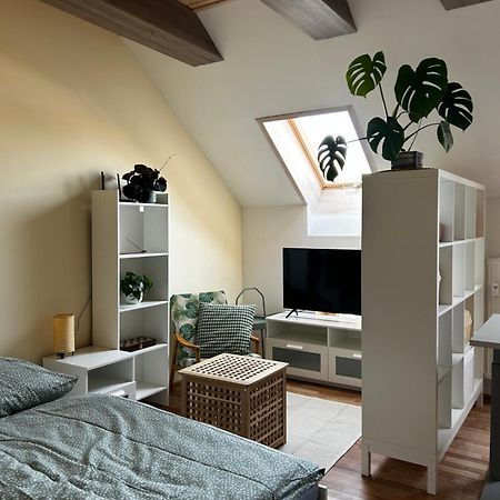 Kežmarok Utulny Apartman V Centre Kezmarku מראה חיצוני תמונה